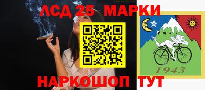 mdma Аргун